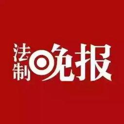 小布丁爆料新闻事件,最新爆料新闻事件背后的真相