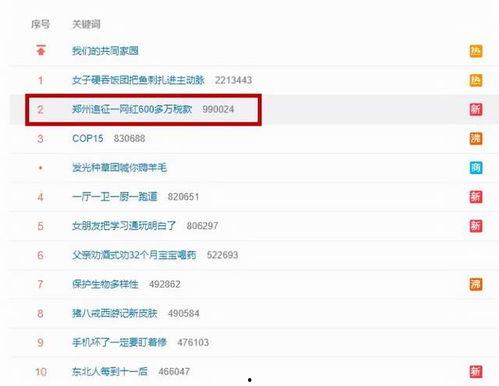 明星艺人税收征管现状,挑战与对策解析