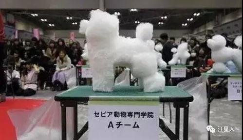 头条最奇葩的狗狗,那些让人哭笑不得的奇葩狗狗瞬间