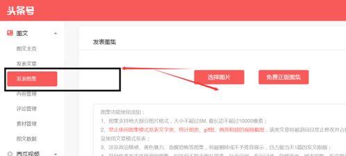 发照片怎么上头条,如何通过上传照片轻松登上热门头条