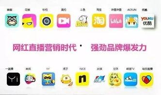 网红马桶坐垫直播脚本,舒适体验与时尚潮流的完美融合