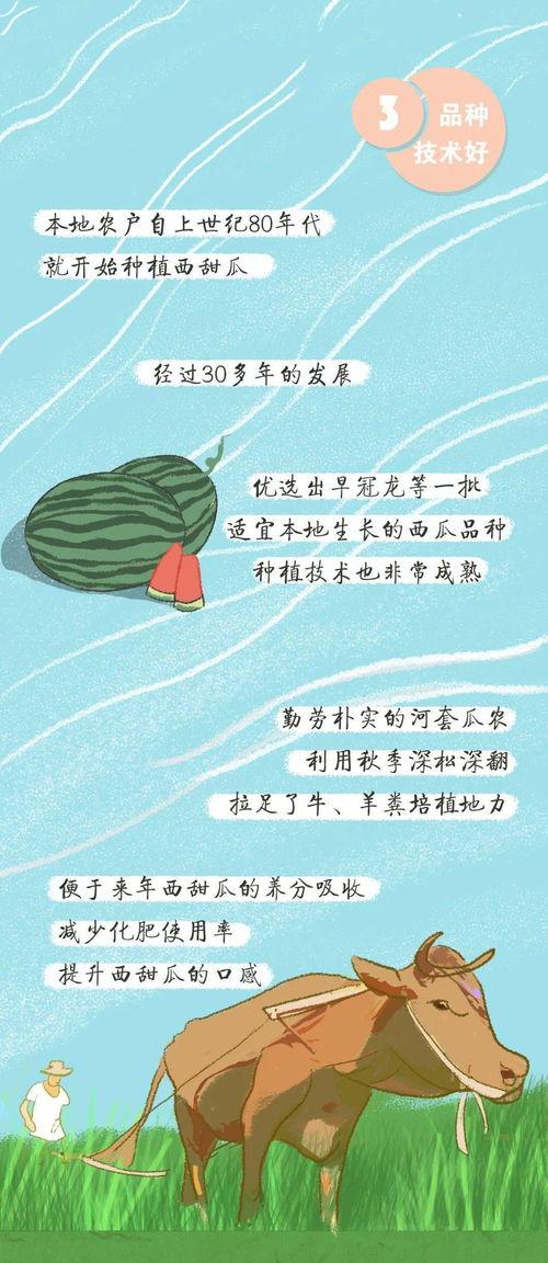 请了10多个吃瓜群众