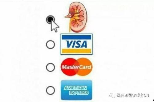 形容吃瓜的昵称大全,盘点那些独具特色的吃瓜昵称