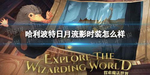 哈利波特最新爆料一月,神秘新篇章，一月揭秘神秘力量与未知命运