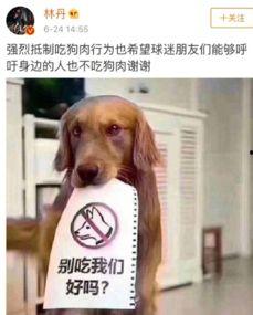 明星抵制吃狗肉,倡导文明餐桌新风尚