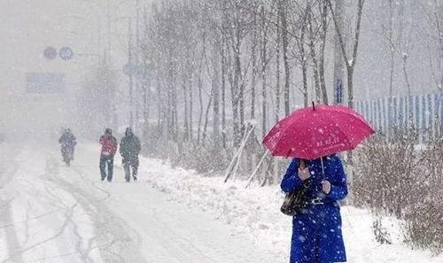 北方下雪微头条,微头条带你领略冬日雪景之美”