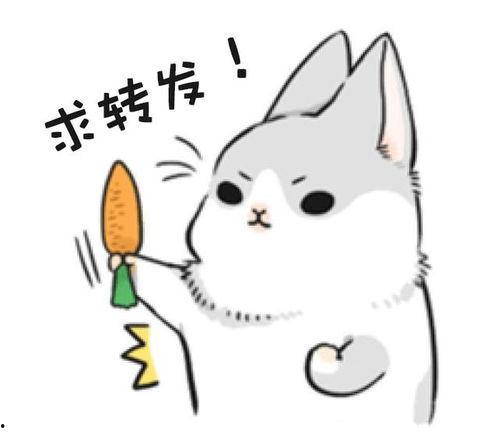 马哥吃瓜动图,趣味横生的瞬间捕捉