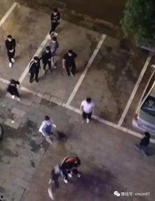 网红王乐乐打小不点视频,网络暴力与道德沦丧的警示