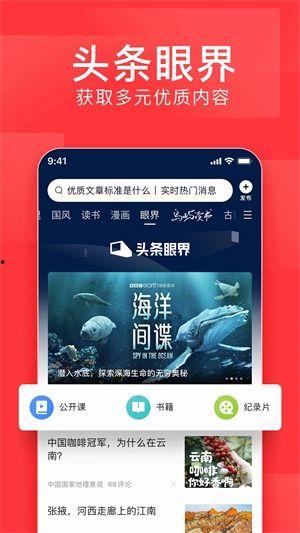 搜索今日头条新闻飞机,惊险一幕！飞机紧急迫降，多国网友热议