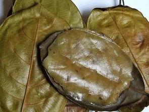 网红籺,网红籺引领美食新潮流