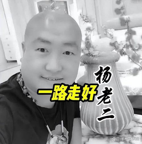 网红尚老二,网络红人崛起之路