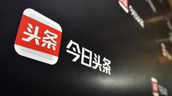 今日头条莱州湾新闻,聚焦湾区发展动态与生态保护新进展