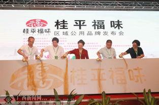 桂平新闻头条广西频道,广西频道聚焦本地发展新动态