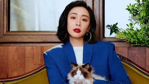 高叶明星照,光影交织下的璀璨星光