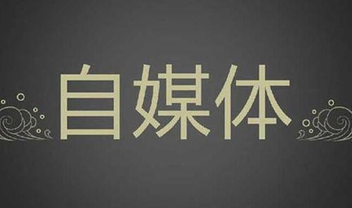 头条自媒体创业政策咨询,把握机遇，开启自媒体新篇章