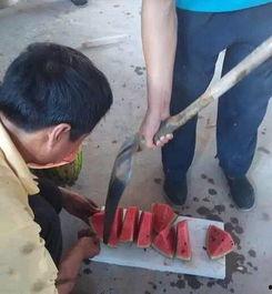 吃瓜神器小铁锹