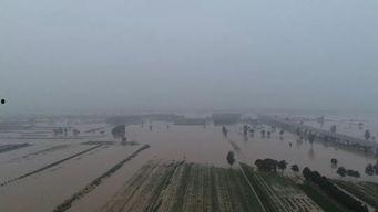 头条视频洛宁网红河滩,探寻自然与人文交融的美丽画卷