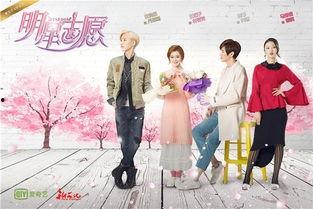 明星志愿大明星免费阅读