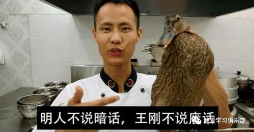 网红厨子唱歌视频,烹饪与歌声的奇妙融合