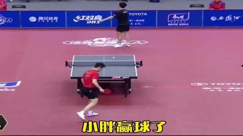 国乒吃瓜五人,揭秘“吃瓜五生”背后的故事