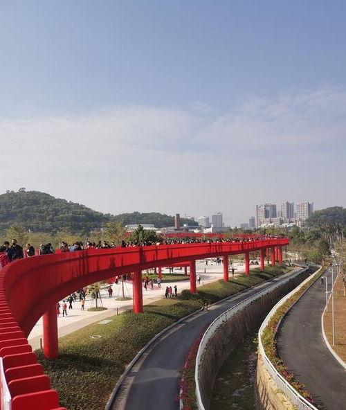 光明网红打卡拍照,网红打卡地探秘