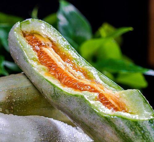 瓜可以吃几茬,一瓜多茬，丰收喜悦无限