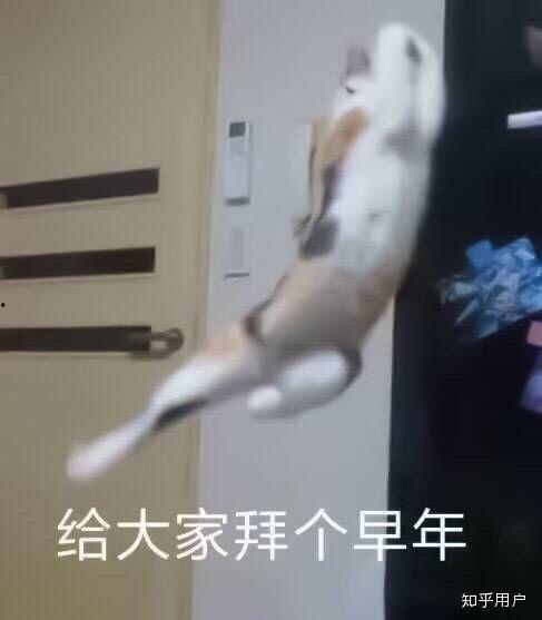 过气网红给大家拜个早年,过气网红新春祝福大盘点