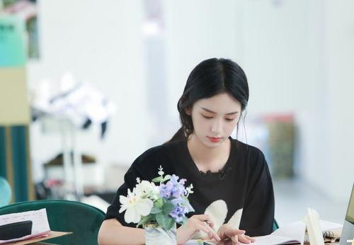 海口的明星有哪些,海南明星风采掠影