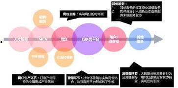 网红经济核心需求是什么,核心需求与未来趋势深度解析