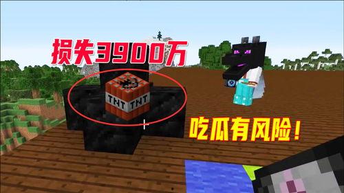 吃tnt的瓜,吃TNT瓜背后的惊人真相