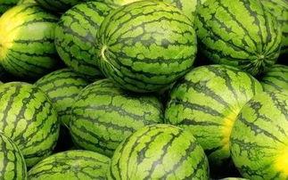 成都西瓜创客吃瓜,瓜界新宠，创意无限美食之旅