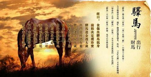 观澜微马头条,探寻健康生活新风尚