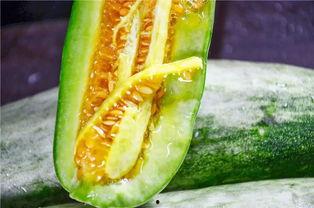 网红旅游吃瓜,美食瓜果香——探寻热门旅游地的独特风味