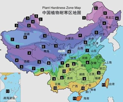 网红植物挑战赛地图介绍,探索地图上的绿色奇迹之旅