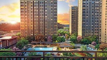 厦门龙湖爆料最新消息,项目动态及未来规划全解析