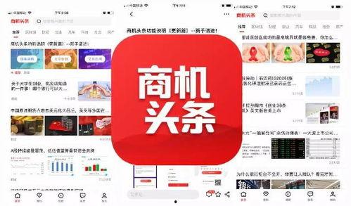 头条商,揭秘电商新趋势，助力商家抢占市场先机