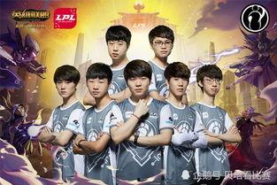 后宫优酷综艺爆料视频,优酷综艺爆料视频深度解析